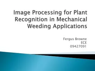 Image Processing for Plant Recognition in Mechanical Weeding Applications