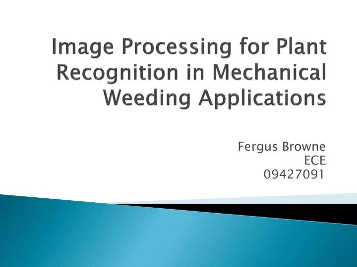 image processing for plant recognition in mechanical weeding applications