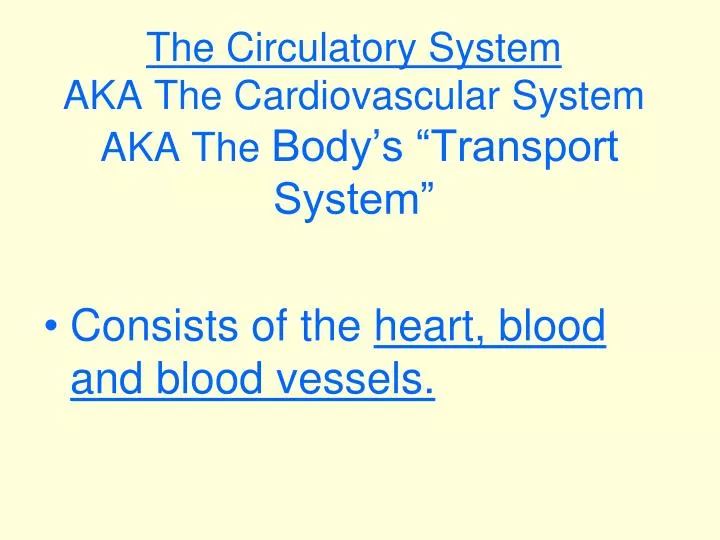 the circulatory system aka the cardiovascular system aka the body s transport system