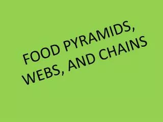 FOOD PYRAMIDS, WEBS, AND CHAINS