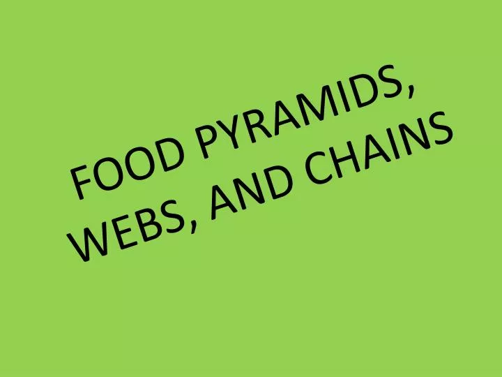 food pyramids webs and chains