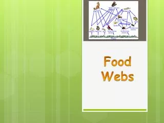 Food Webs