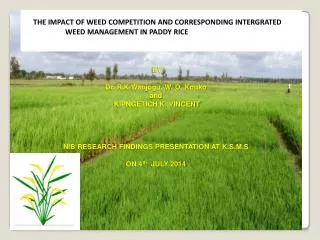 THE IMPACT OF WEED COMPETITION AND CORRESPONDING INTERGRATED 		WEED MANAGEMENT IN PADDY RICE