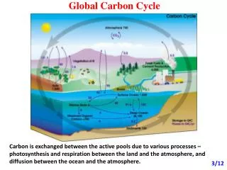 Global Carbon Cycle