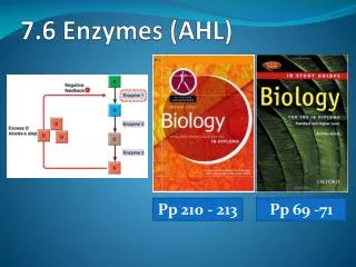 7.6 Enzymes (AHL)