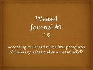 Weasel Journal #1