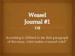 Weasel Journal #1 - slide 1
