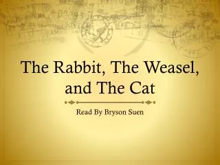 The Rabbit, The Weasel, and The Cat