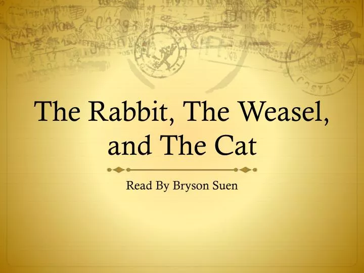 the rabbit the weasel and the cat