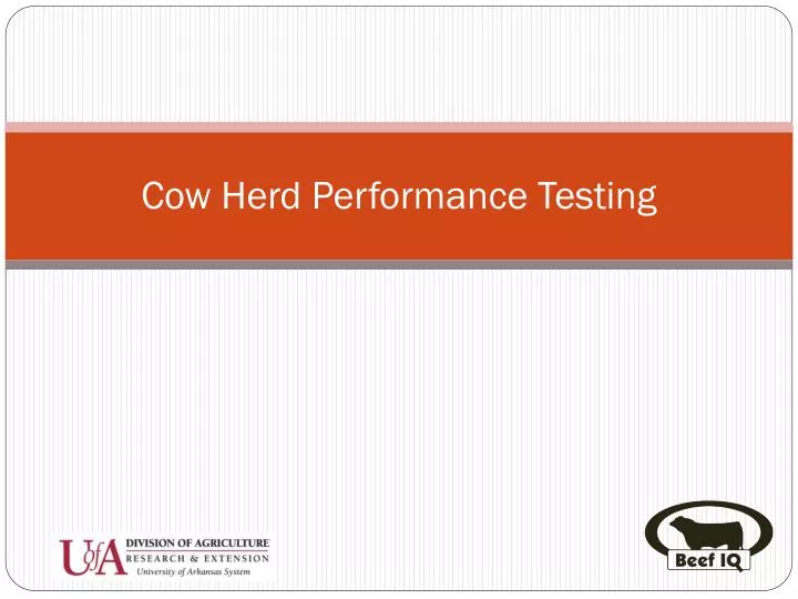 cow herd performance testing