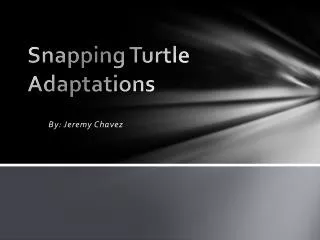 Snapping Turtle Adaptations