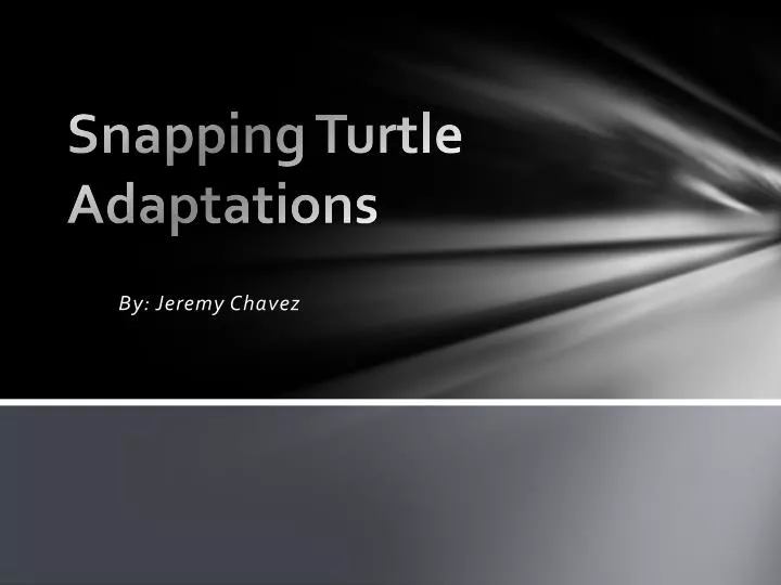 snapping turtle adaptations