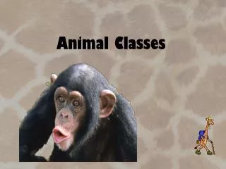 Animal Classes