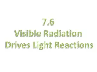 7.6 Visible Radiation Drives Light Reactions