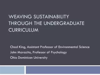 Weaving Sustainability Through the Undergraduate Curriculum