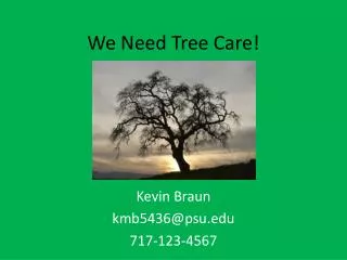 We Need Tree Care!