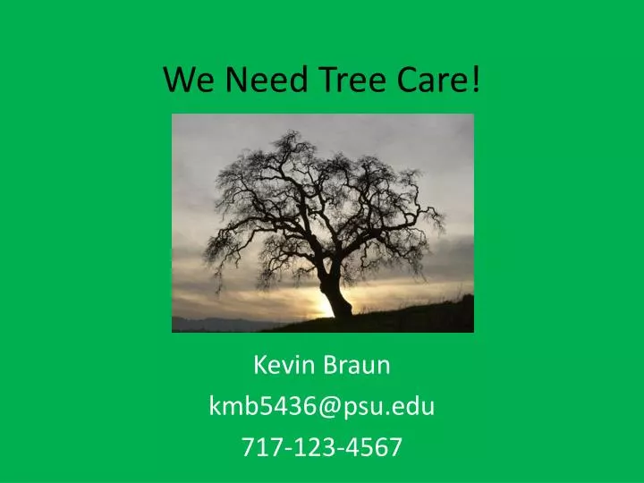 we need tree care