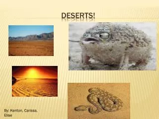 Deserts!