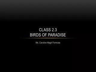 Class 2.3 Birds of Paradise