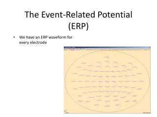 The Event-Related Potential (ERP)