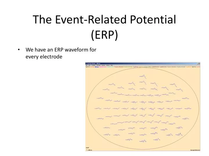 the event related potential erp