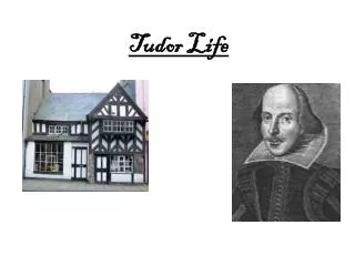 Tudor Life