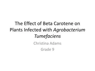 The Effect of Beta Carotene on Plants Infected with Agrobacterium Tumefaciens