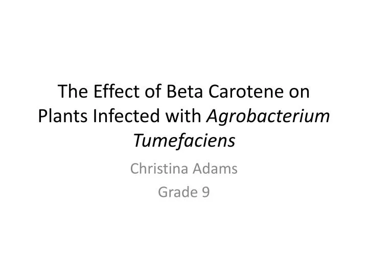 the effect of beta carotene on plants infected with agrobacterium tumefaciens
