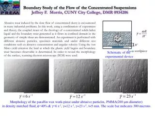 Boundary Study of the Flow of the Concentrated Suspensions