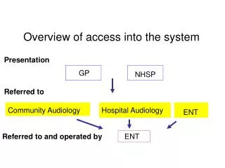 overview of access into the system