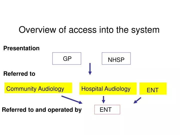 overview of access into the system