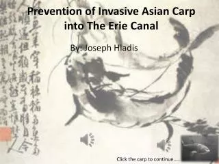 Prevention of Invasive Asian Carp into The Erie Canal