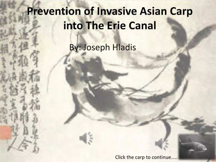 prevention of invasive asian carp into the erie canal