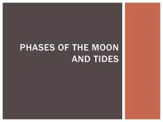 Phases of the Moon and tides