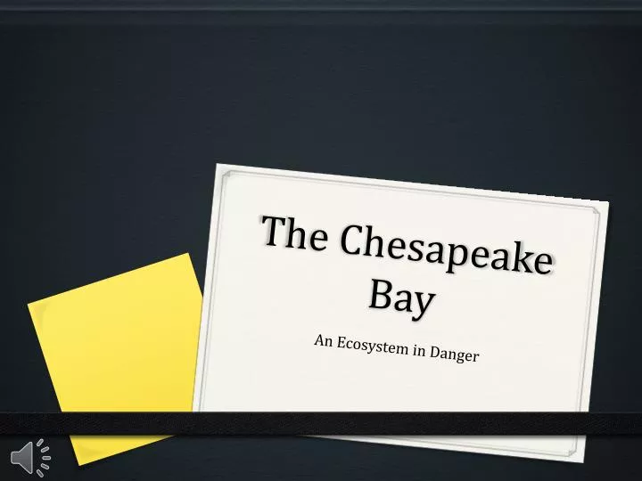 the chesapeake bay
