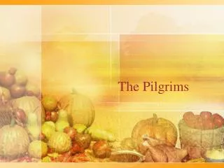 The Pilgrims