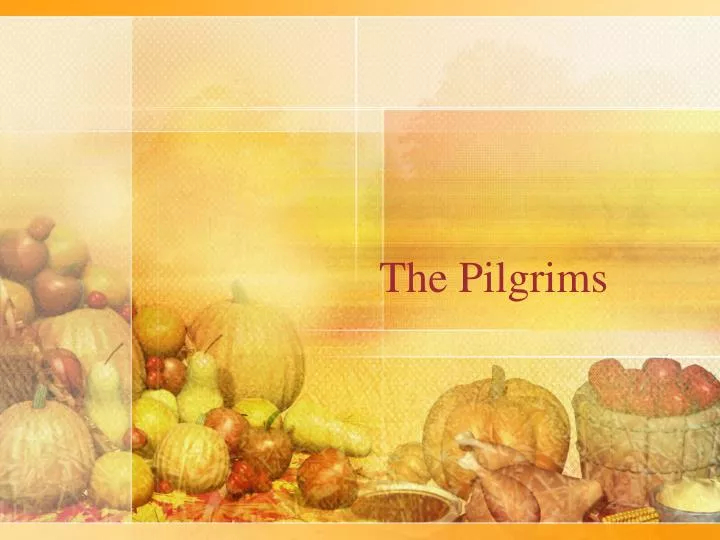 the pilgrims