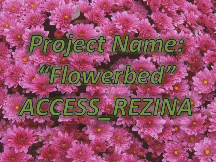 pr oject name flowerbed access rezina