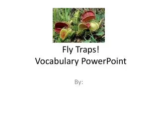 Fly Traps! Vocabulary PowerPoint