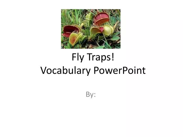 fly traps vocabulary powerpoint