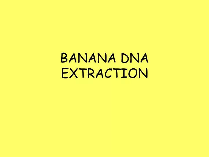 banana dna extraction
