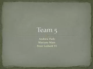 Team 5