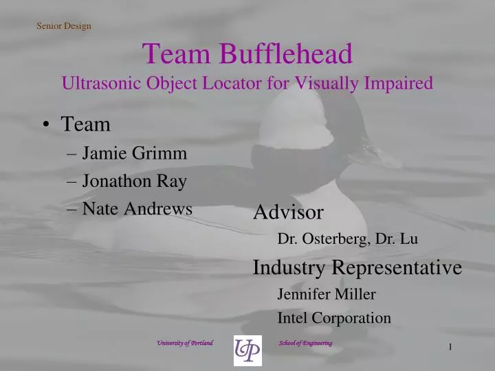 team bufflehead ultrasonic object locator for visually impaired
