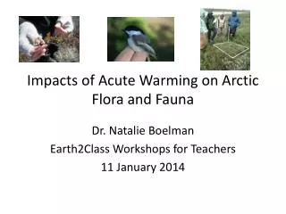 Impacts of Acute Warming on Arctic Flora and Fauna