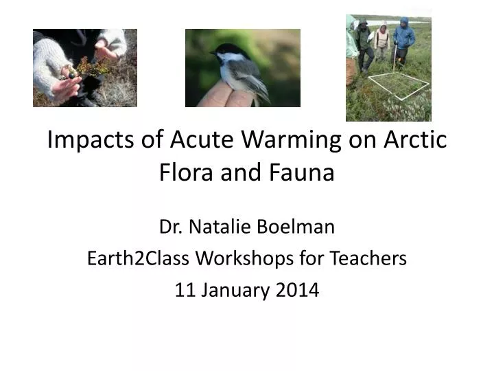 impacts of acute warming on arctic flora and fauna