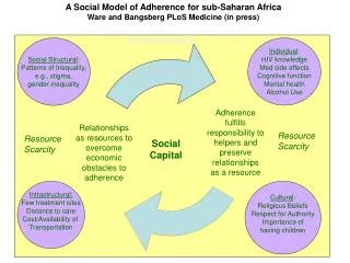 Social Structural : Patterns of Inequality, e.g., stigma, gender inequality