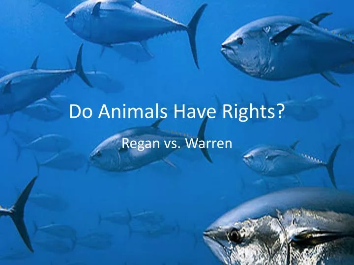 do animals have rights