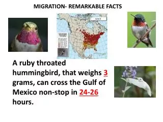 MIGRATION- REMARKABLE FACTS