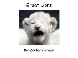 Great Lions