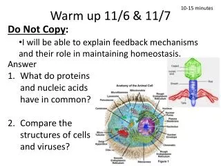 Warm up 11/6 &amp; 11/7